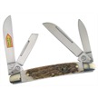 CCN-31411 NEW TROPHY STAG CONGRESS (1PC) [Trophy Stag • Pocket Knives]