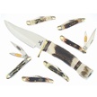 CCN-38288 SQUIRREL SKINNER & NUTS (7PCS) [Assorted • Pocket Knives]