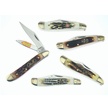 CCN-38479 EVERY SQUIRREL GETS A NUT (5PCS) [Assorted • Pocket Knives]