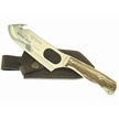 CCN-38522 SQUIRREL BRADY WEDGE (1PC) [Hen & Rooster • Fixed Blades & Hunters]