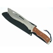 CCN-38668 SAWBACK SPECIAL (1PC) [Frost Cutlery • Fixed Blades & Hunters]