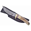 CCN-06575 - Closeout Damascus Stag Skinner (1pc)