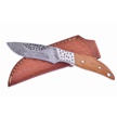 CCN-07077 - Show Sample Olive Wood Damascus Skinner(1pc)