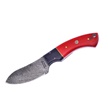 CCN-07679 - Damascus Blade Red G10 Hunter - No Sheath(1