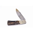 CCN-115341 - Rare H&R Stag Folder (1pc)