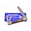 CCN-115658 - 98 Bulldog German Stag (1pc)