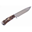 CCN-116268 - Michael Prater Mammoth Sharp (1pc)